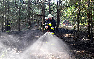 Strażacy na poligonie ćwiczą gaszenie pożarów lasów